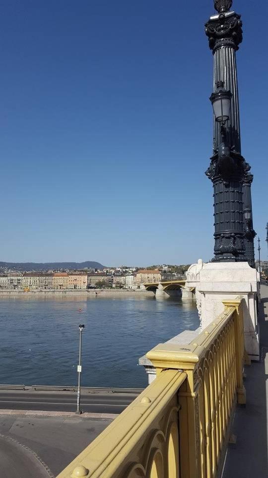 New, High Quality Apartment In The City Center Budapeşte Dış mekan fotoğraf